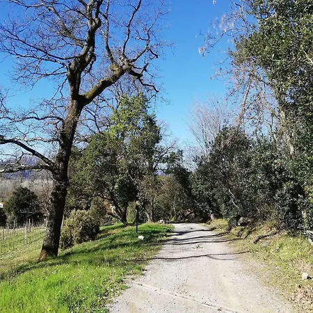 Charming Retreat Lucca