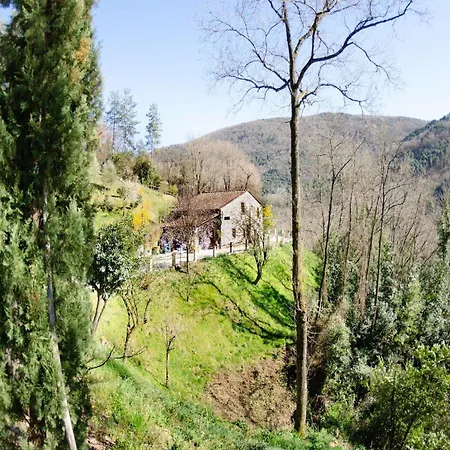 Tatil Evi Typical Tuscan Old Stone House *